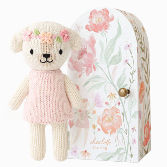 Tiny Charlotte the dog, shown alongside her Tiny home. Tiny Charlotte is wearing a pink dress and an embroidered flower headband.