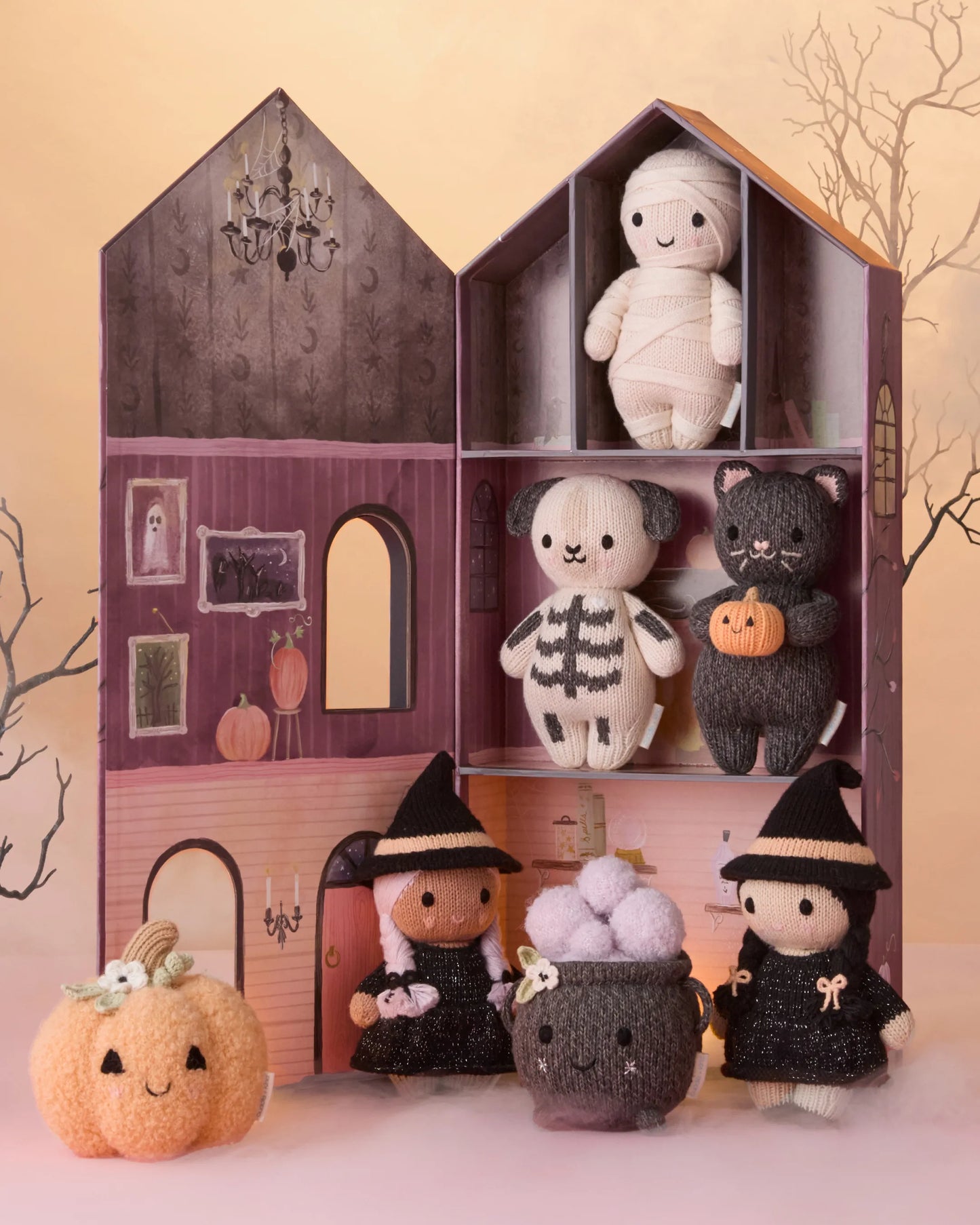 Limited Edition Haunted House Collector’s Kit