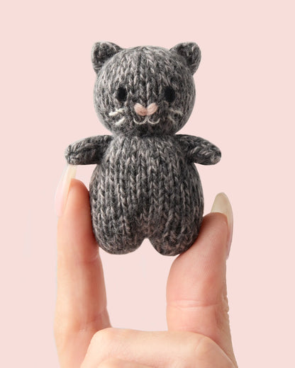 ‍Tiny baby kitten