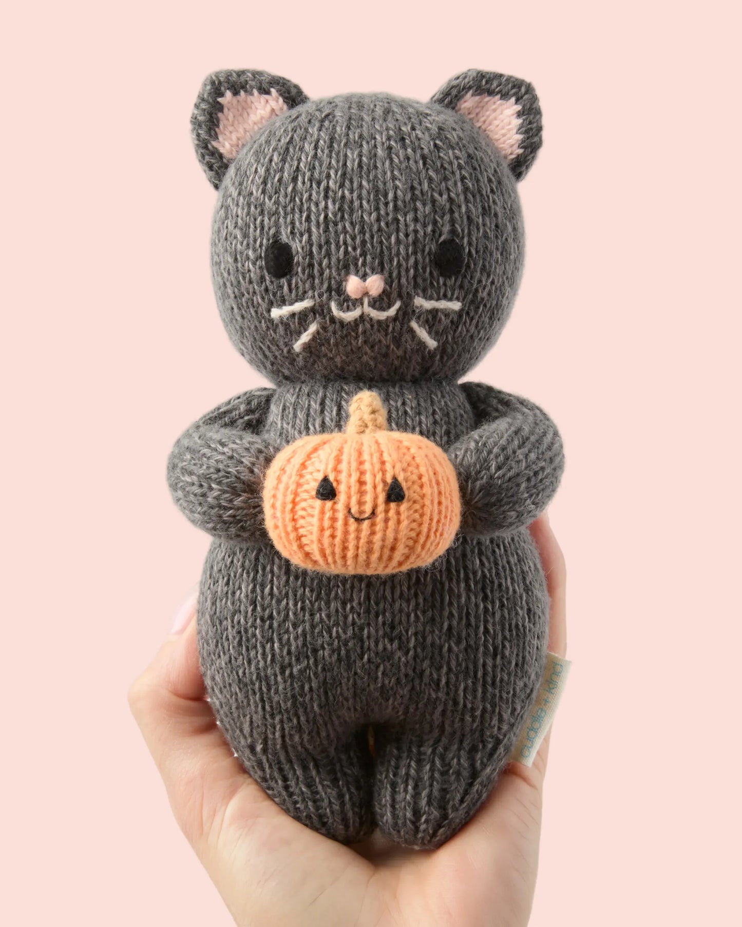 Baby kitten (with pumpkin)