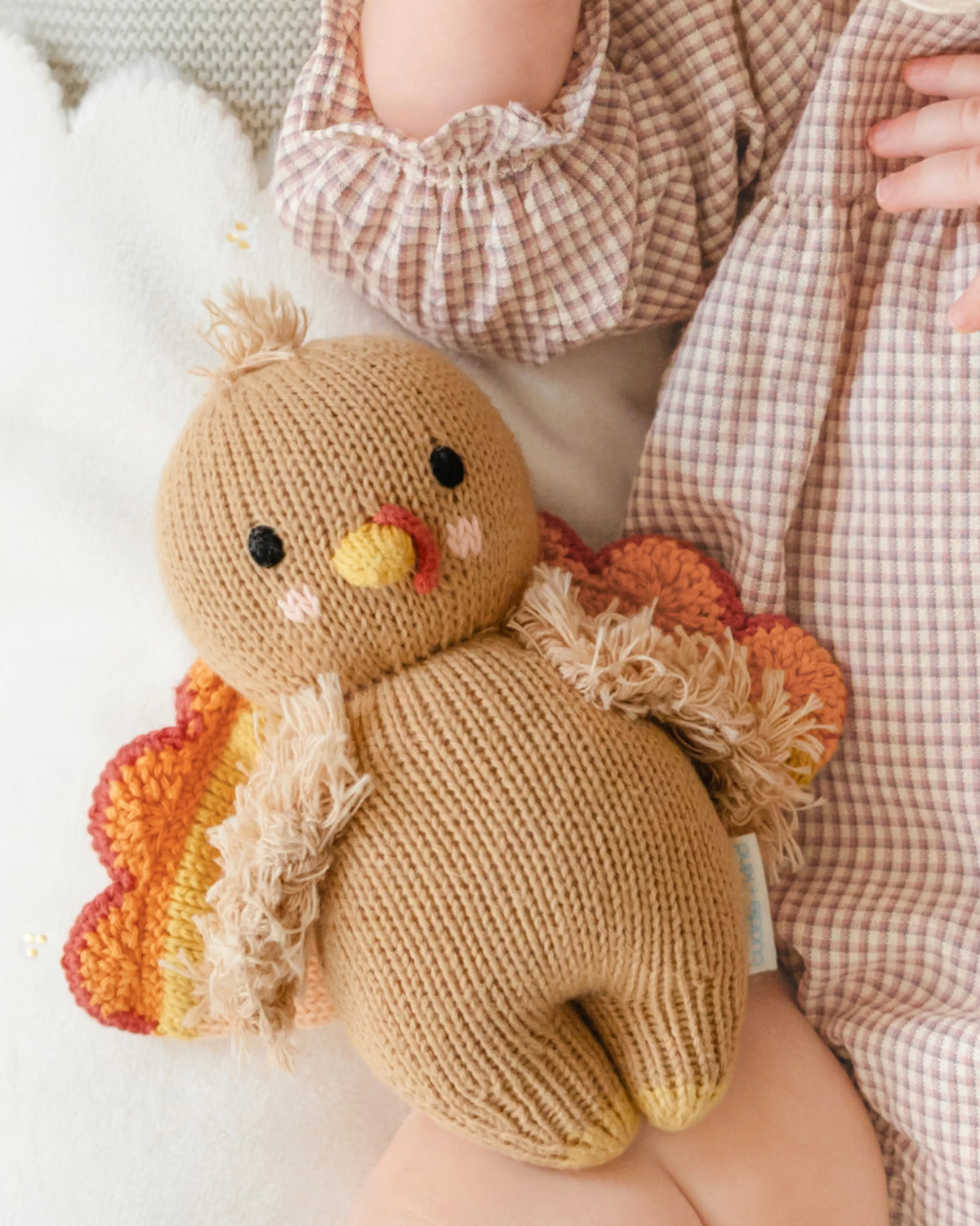 Baby turkey