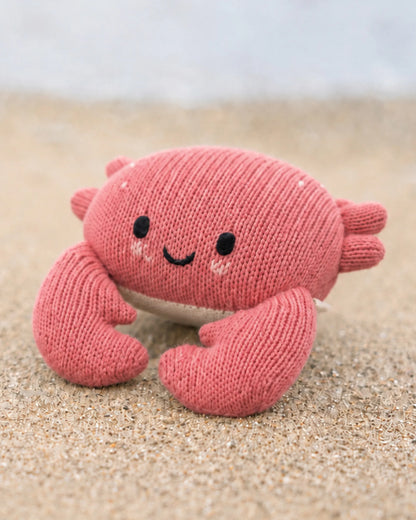 Baby crab