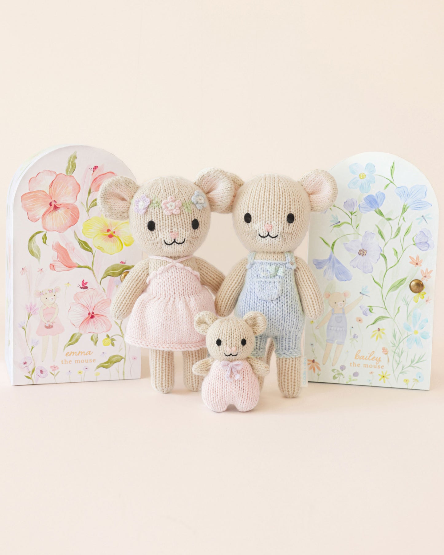 Tiny Bailey the mouse