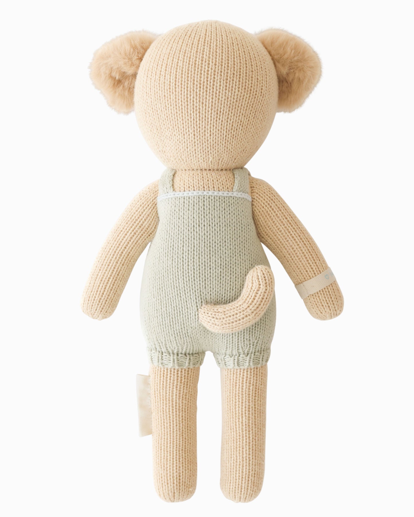 Theo the golden puppy