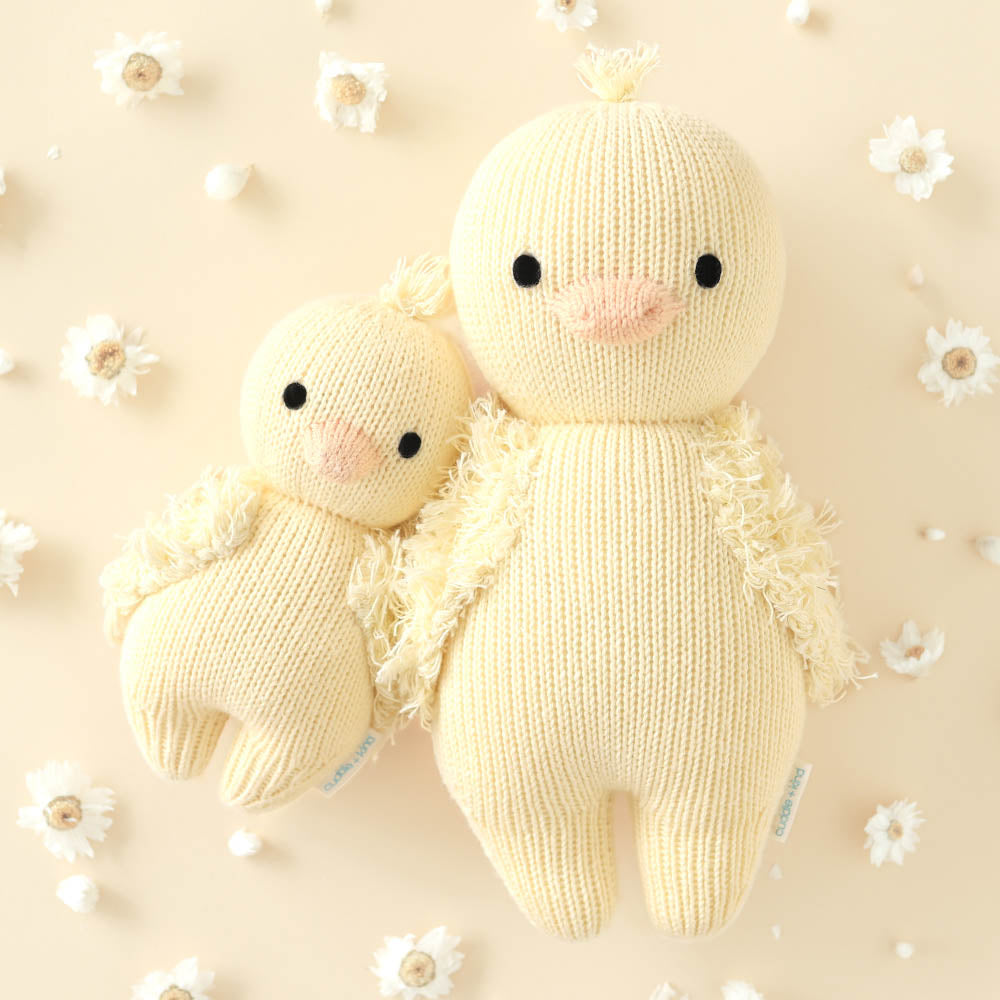 Baby duckling bundle