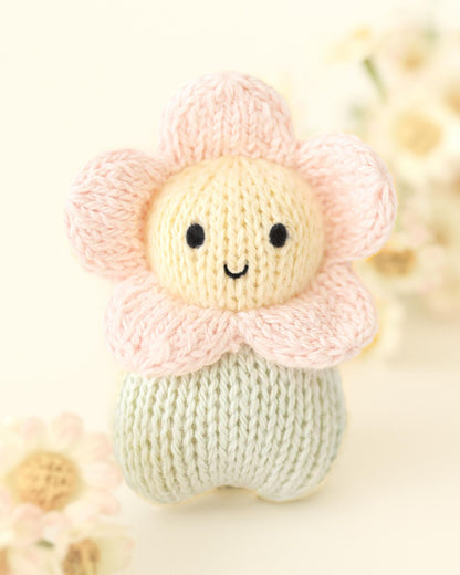 ‍Tiny baby daisy
