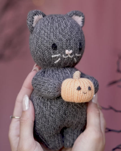 Baby kitten (with pumpkin)