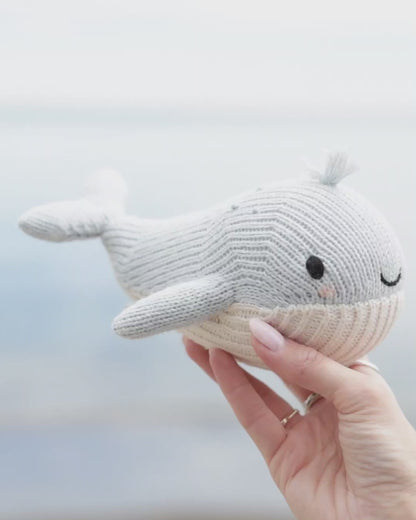 Baby whale