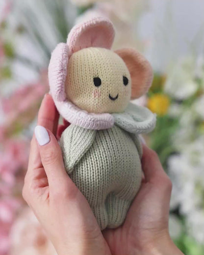 Baby daisy (sunshower)