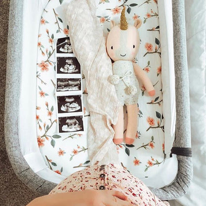 Ella the unicorn laying in a baby bassinet, alongside a rolled receiving blanket and several ultrasound images. A woman holding her baby bump can be seen beside the bassinet.