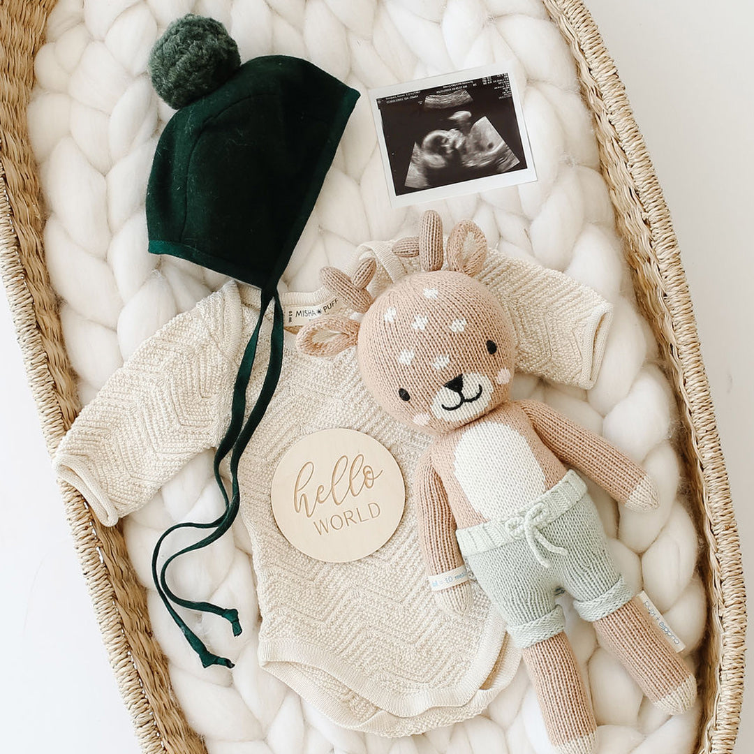 Elliot the fawn lying in a wicker bassinet, alongside an ultrasound image, a knit romper and pom pom bonnet, and a round wooden sign with text that says "hello world".