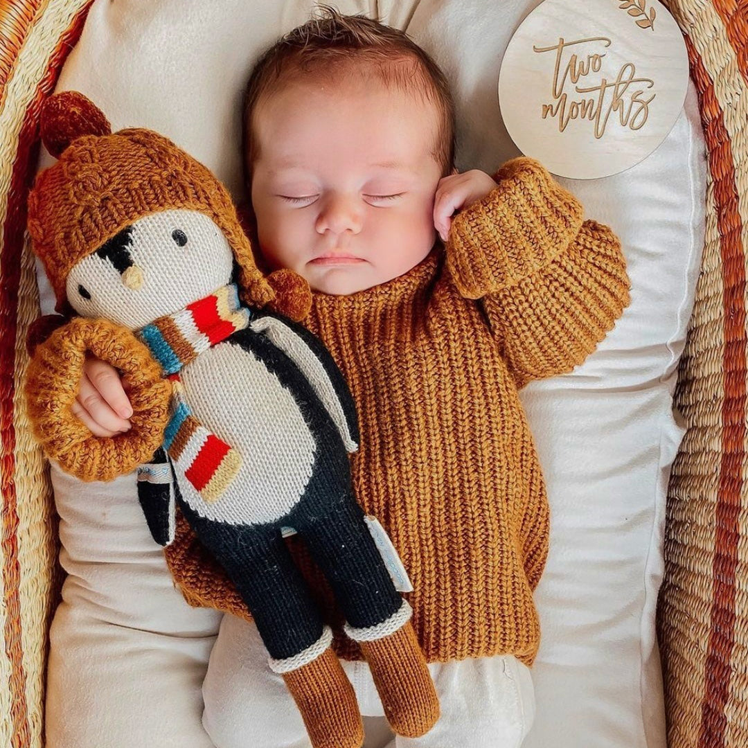 A sleeping baby in a wicker bassinet, holding Everest the penguin. Beside the baby is a round wooden sign with text that says "Two months."