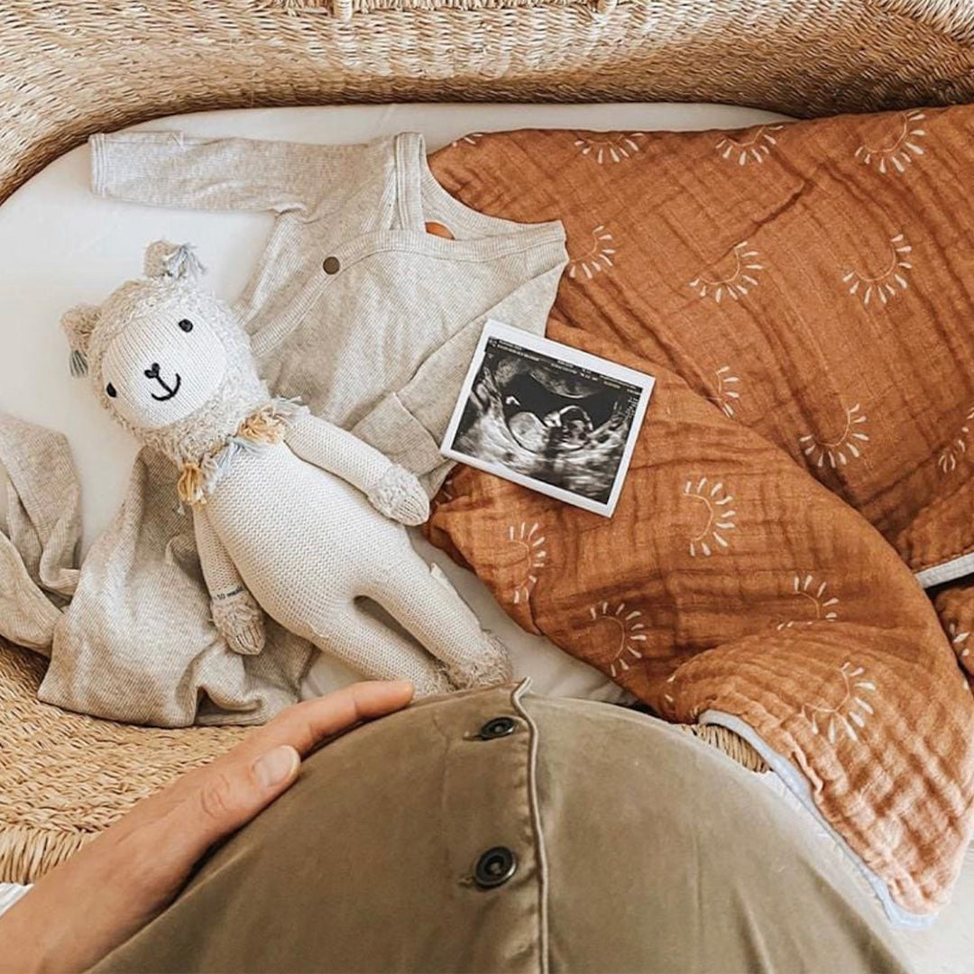 Lucas the llama lying in a baby bassinet, alongside a receiving blanket, a onesie and an ultrasound image. A woman holding her baby bump can be seen beside the bassinet.